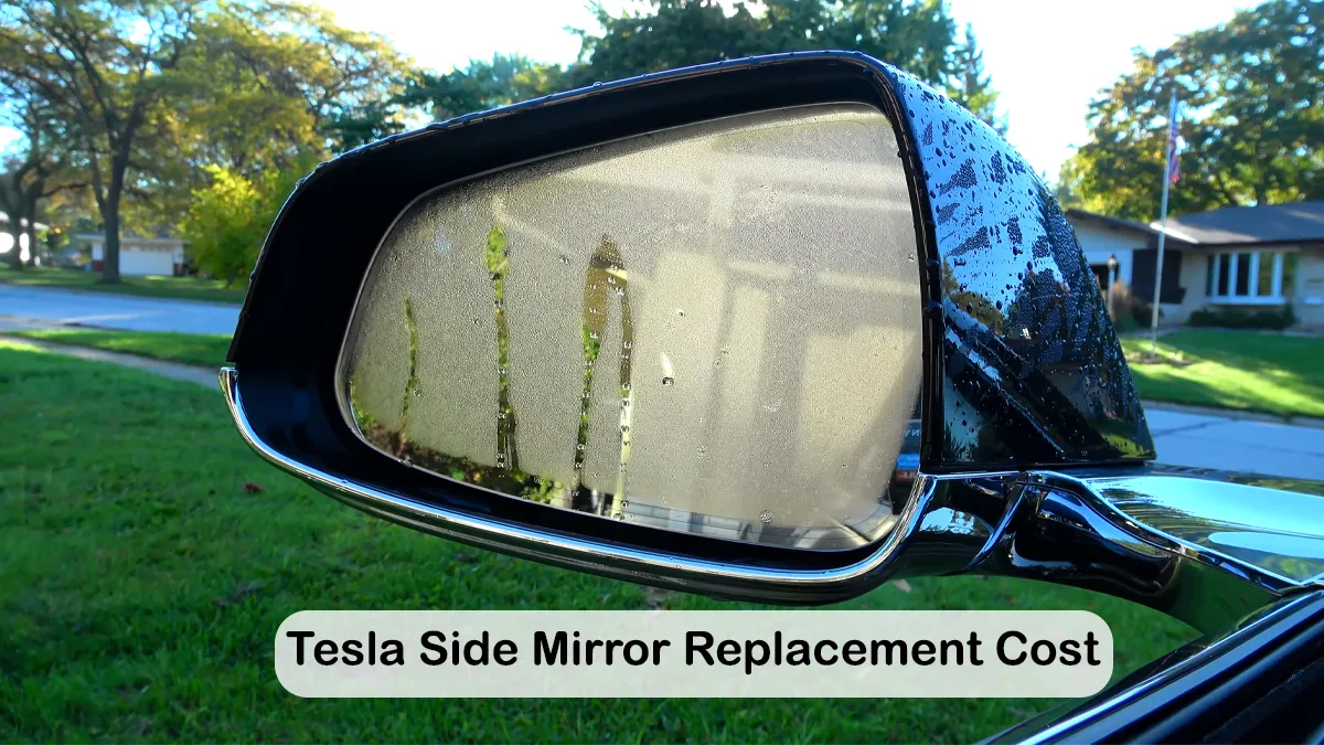 A Comprehensive Guide to Tesla Side Mirror Replacement Cost Ev Seekers